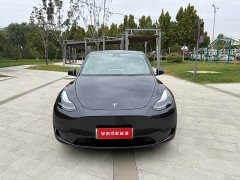 Tesla Model Y Rear-Wheel Drive - ფოტო 2