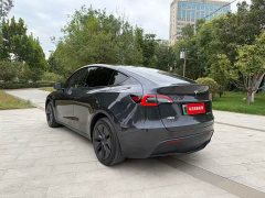 Tesla Model Y Rear-Wheel Drive - ფოტო 6
