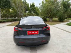 Tesla Model Y Rear-Wheel Drive - ფოტო 7