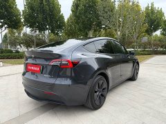 Tesla Model Y Rear-Wheel Drive - ფოტო 8