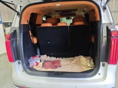 Great Wall WEY Shanshan New Energy Four-Wheel Drive Shanshan 8 - ფოტო 9