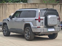Dongfeng Mengshi M817 Max - ფოტო 6