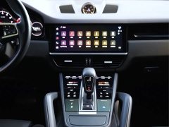 Porsche Cayenne 3.0T Platinum Edition - ფოტო 15