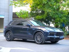 Porsche Cayenne 3.0T Platinum Edition - ფოტო 3
