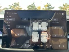 Denza D9 DM-i 980 Four-Wheel Drive Premium - ფოტო 18