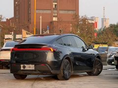 Tesla Model Y Rear-Wheel Drive - ფოტო 5