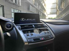 Lexus NX 300h FWD Pinnacle Edition National VI - ფოტო 8