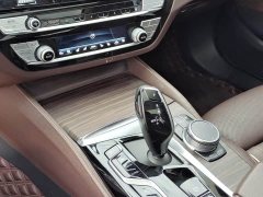 BMW 5 Series 530Li Luxury Edition Premium Package - ფოტო 10