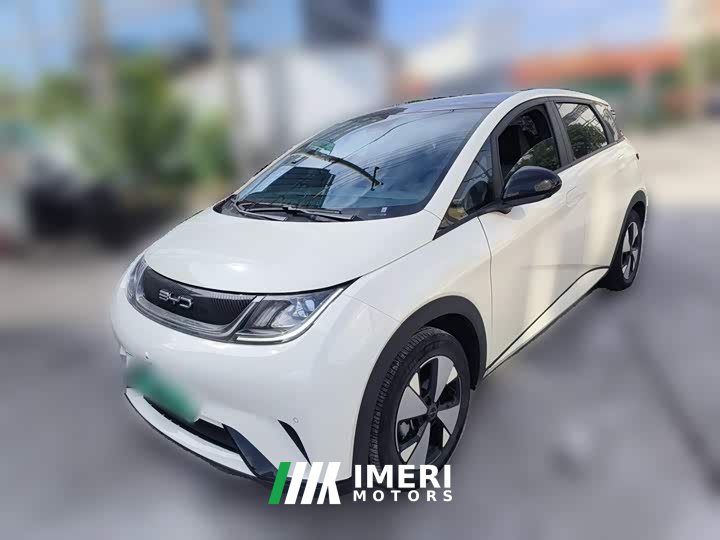 BYD Dolphin 420km Fashion Edition - ავტომობილი ჩინეთიდან