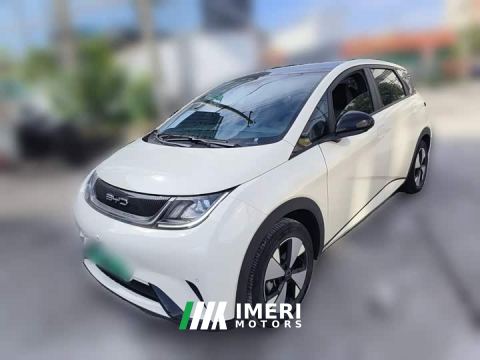 2023 BYD Dolphin 420km Fashion Edition