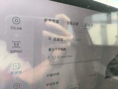 BYD Dolphin 420km Fashion Edition - ფოტო 8