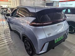 BYD Seagull 305km Freedom Edition - ფოტო 4
