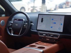 Li Auto Ideal L8 Air - ფოტო 6