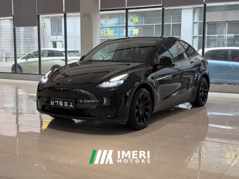2022 Tesla Model Y Rear-Wheel Drive - ავტომობილი ჩინეთიდან