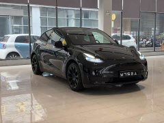 Tesla Model Y Rear-Wheel Drive - фото 3