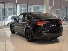 Tesla Model Y Rear-Wheel Drive - фото 8