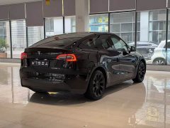 Tesla Model Y Rear-Wheel Drive - фото 9