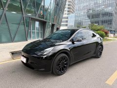 Tesla Model Y Long Range All-Wheel Drive - photo 1