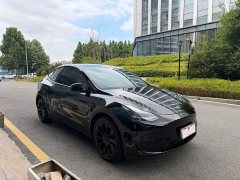 Tesla Model Y Long Range All-Wheel Drive - photo 3
