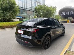 Tesla Model Y Long Range All-Wheel Drive - photo 6