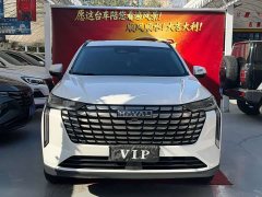 Haval H6 1.5T Two-Wheel Drive Max - ფოტო 2
