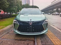 Dongfeng Fengxing Yacht 1.5T DCT Wave-Chasing Edition - ფოტო 2