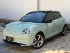 ORA Good Cat Morandi Edition 400km Standard Range Luxury Trim LFP - ფოტო 1