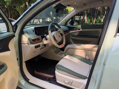 ORA Good Cat Morandi Edition 400km Standard Range Luxury Trim LFP - ფოტო 4