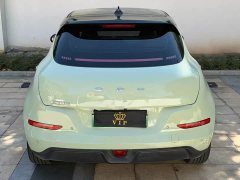 ORA Good Cat Morandi Edition 400km Standard Range Luxury Trim LFP - ფოტო 8
