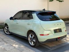 ORA Good Cat Morandi Edition 400km Standard Range Luxury Trim LFP - ფოტო 9