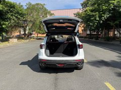 Geely Bingyue 1.4T DCT Diamond Edition - ფოტო 17