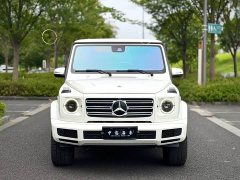 Mercedes-Benz G-Class G 350 - ფოტო 2