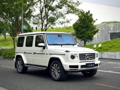 Mercedes-Benz G-Class G 350 - ფოტო 3