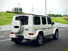 Mercedes-Benz G-Class G 350 - ფოტო 7