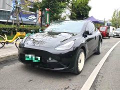 Tesla Model Y Rear-Wheel Drive - ფოტო 1