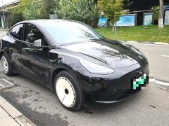 Tesla Model Y Rear-Wheel Drive - ფოტო 2