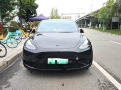 Tesla Model Y Rear-Wheel Drive - ფოტო 3