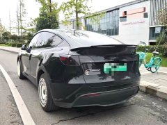 Tesla Model Y Rear-Wheel Drive - ფოტო 5