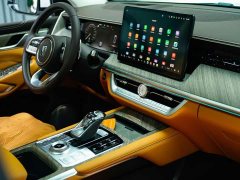 Tank 500 3.0T Business Edition Landscape Version 5-Seater - ფოტო 10