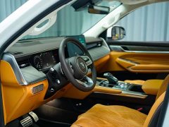 Tank 500 3.0T Business Edition Landscape Version 5-Seater - ფოტო 17