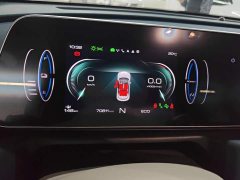 ORA Good Cat 400km Standard Range Athena Edition Ternary Lithium - ფოტო 14