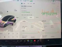 Tesla Model 3 Rear-Wheel Drive - ფოტო 6