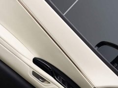 Lexus LM 500h Four-Seat Royal Edition - ფოტო 8