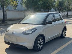 Wuling Binguo 333km Joy Edition - ფოტო 1