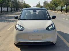 Wuling Binguo 333km Joy Edition - ფოტო 2