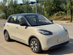 Wuling Binguo 333km Joy Edition - ფოტო 3