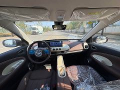 Wuling Binguo 333km Joy Edition - ფოტო 6