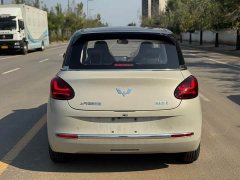 Wuling Binguo 333km Joy Edition - ფოტო 8