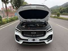 Geely Xingyue L 2.0T High-Power Auto FWD Cloud Rising Edition - ფოტო 8