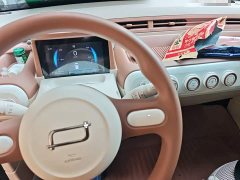 FAW Besturn Xiaoma 222km Cute Horse Plus - ფოტო 20